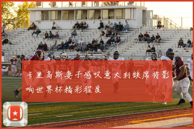 卡里乌斯妻子感叹意大利缺席将影响世界杯精彩程度