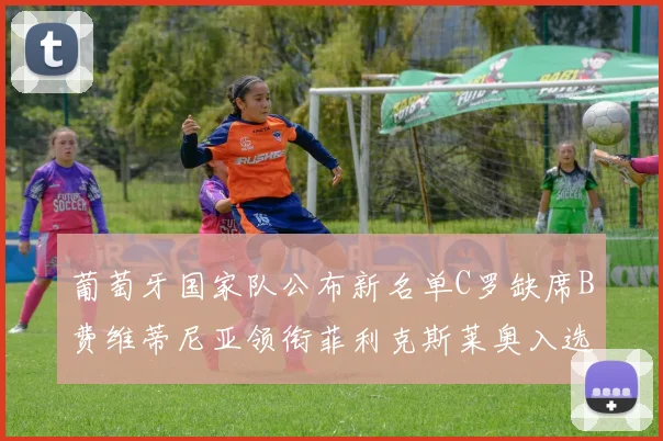 葡萄牙国家队公布新名单C罗缺席B费维蒂尼亚领衔菲利克斯莱奥入选